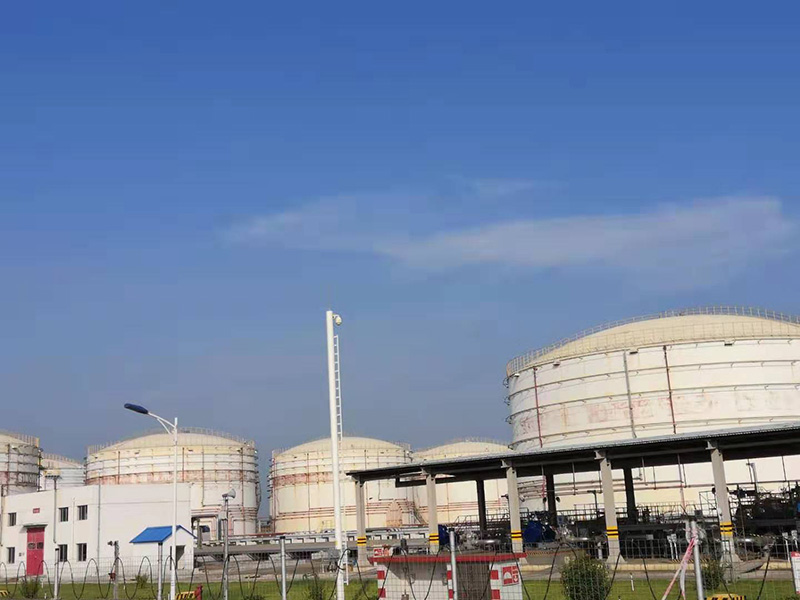 国外**技术代理服务