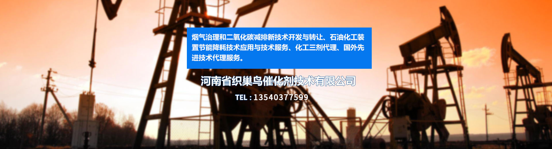 河南省织巢鸟催化剂技术有限公司